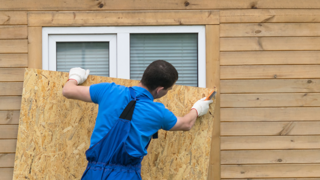 Plywood on windows